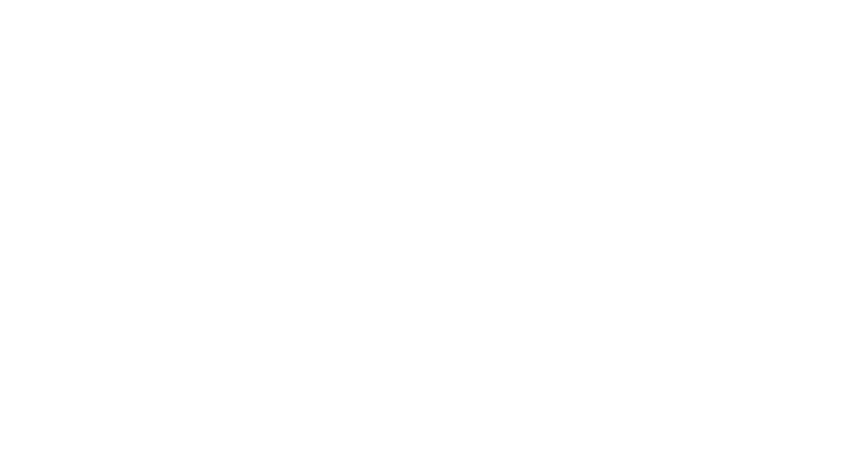 nearnordic-logo-db-v3
